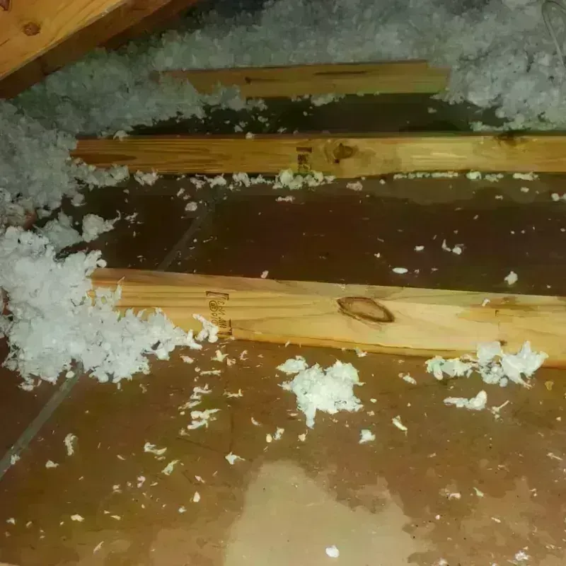 Attic Water Damage in Rogers City, MI