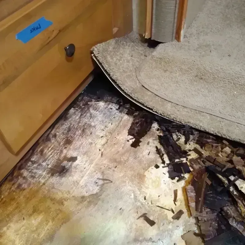 Wood Floor Water Damage in Rogers City, MI